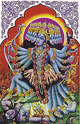 kali10-10.jpg