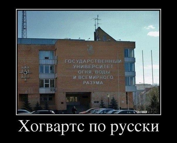 гогв.jpg