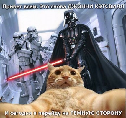 catsvill-perehodit-na-temnuu-storonu-427x400.jpg