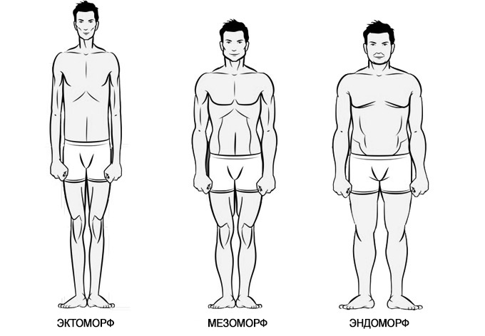 bodytype-1.jpg