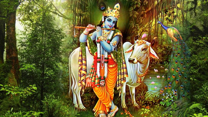 Krishna1a-9-29-2016.jpg