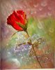 rose.40x50.jpg