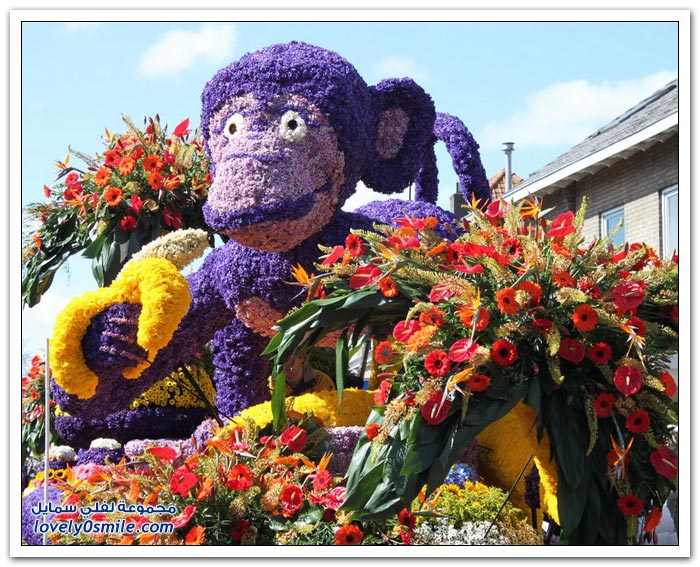 Flower-festivals-in-the-Netherlands-2013-01.jpg