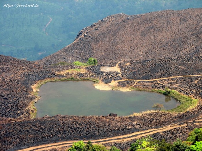 Chembra-Peak-Wayanad-Kerala.jpg