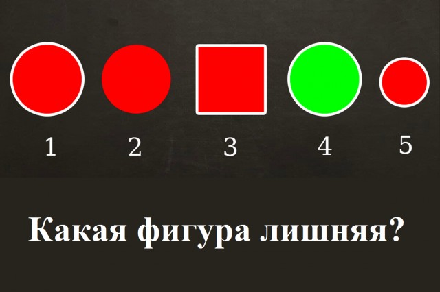 16256110.jpg