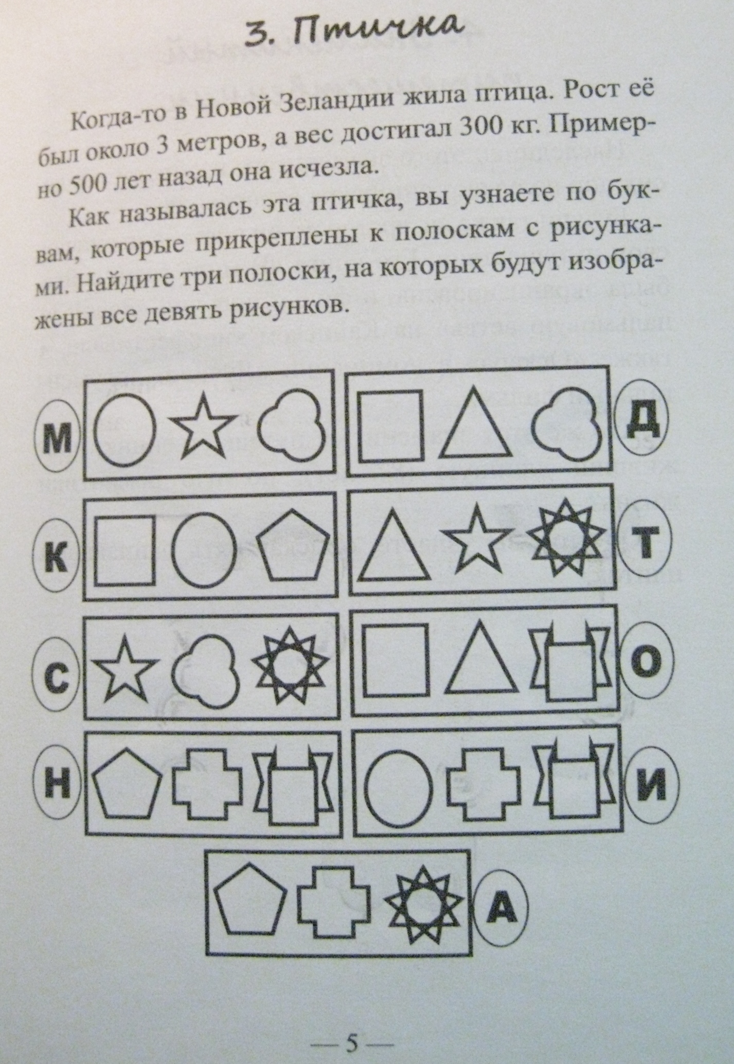 3.Птичка.JPG