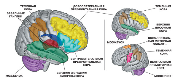 f338a169e4f97326fac4aecee7a1082a.jpg